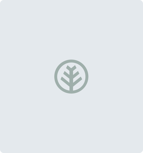 logo background